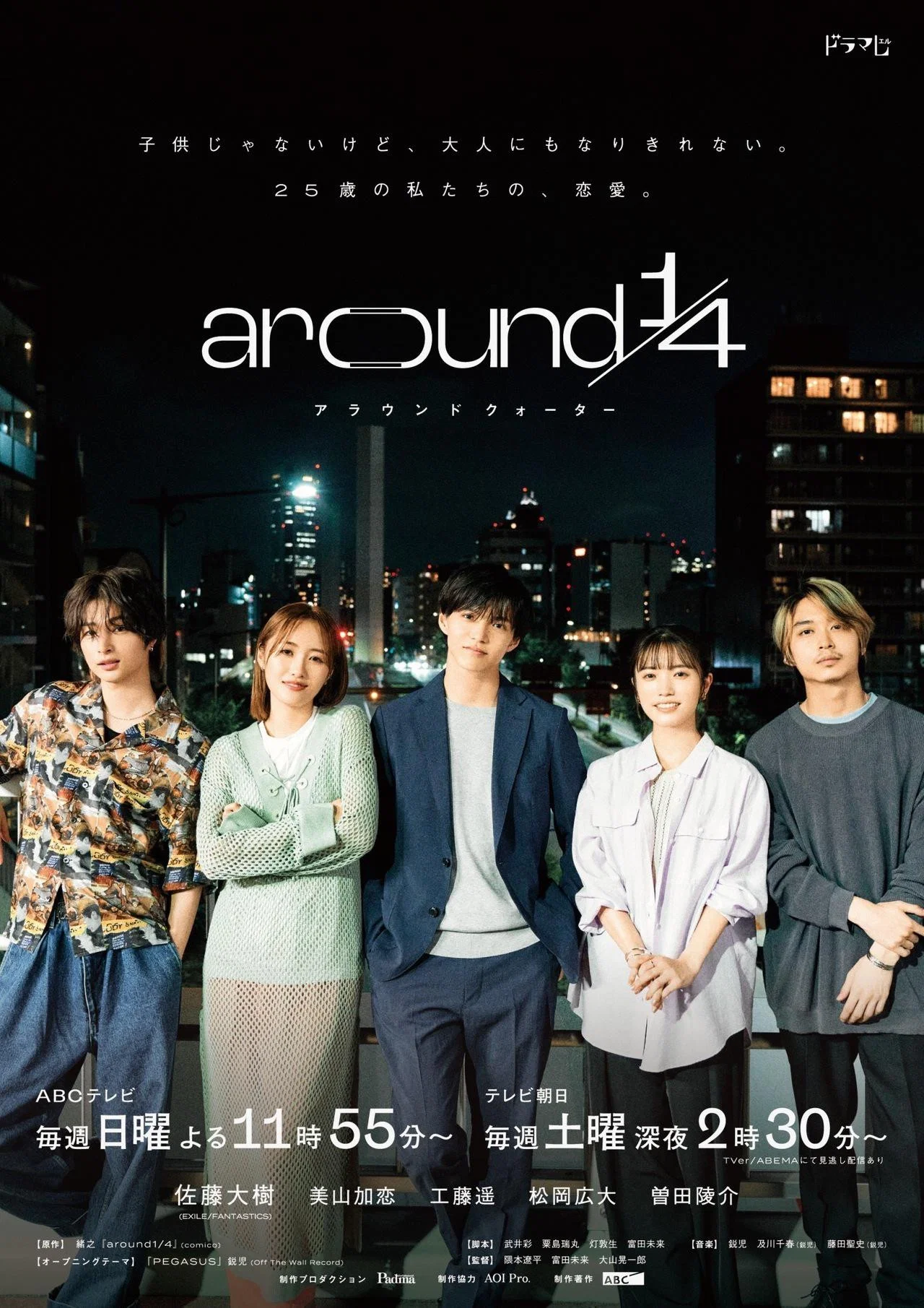 《around ¼》海报