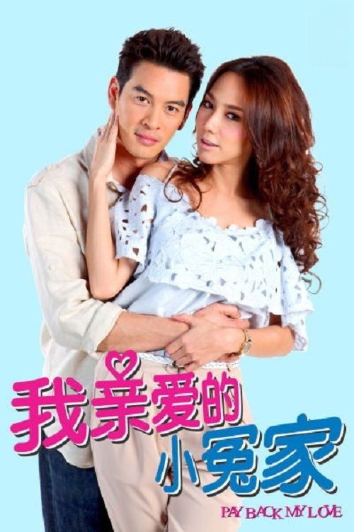 《我亲爱的小冤家》海报