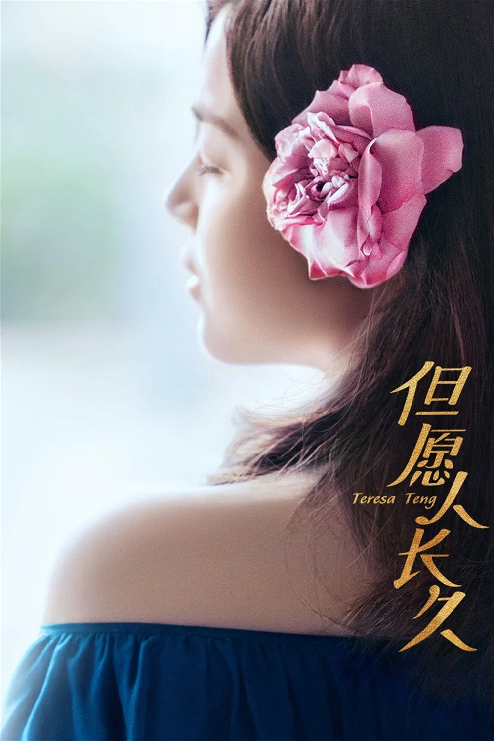 《但愿人长久》海报