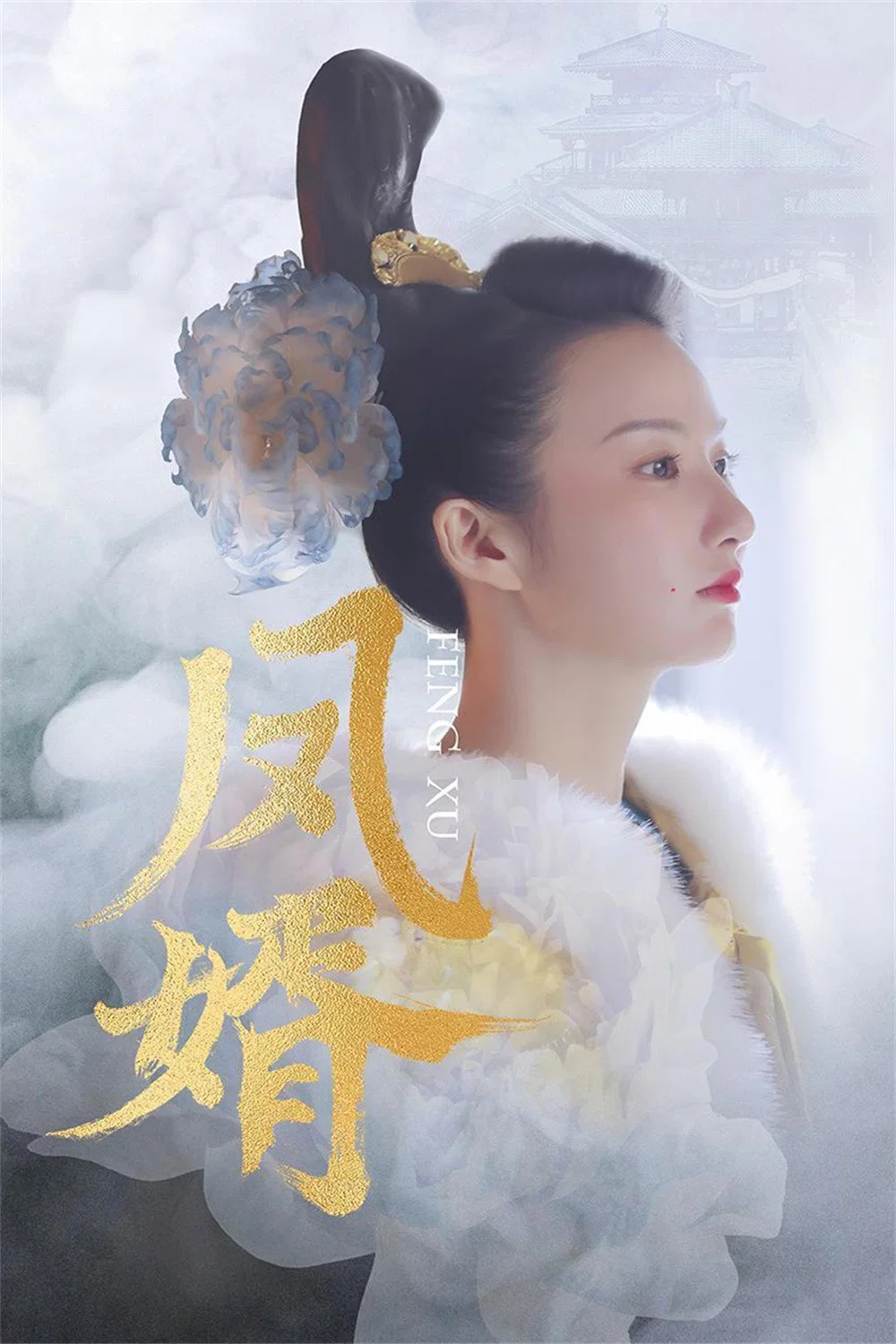 《凤婿》海报