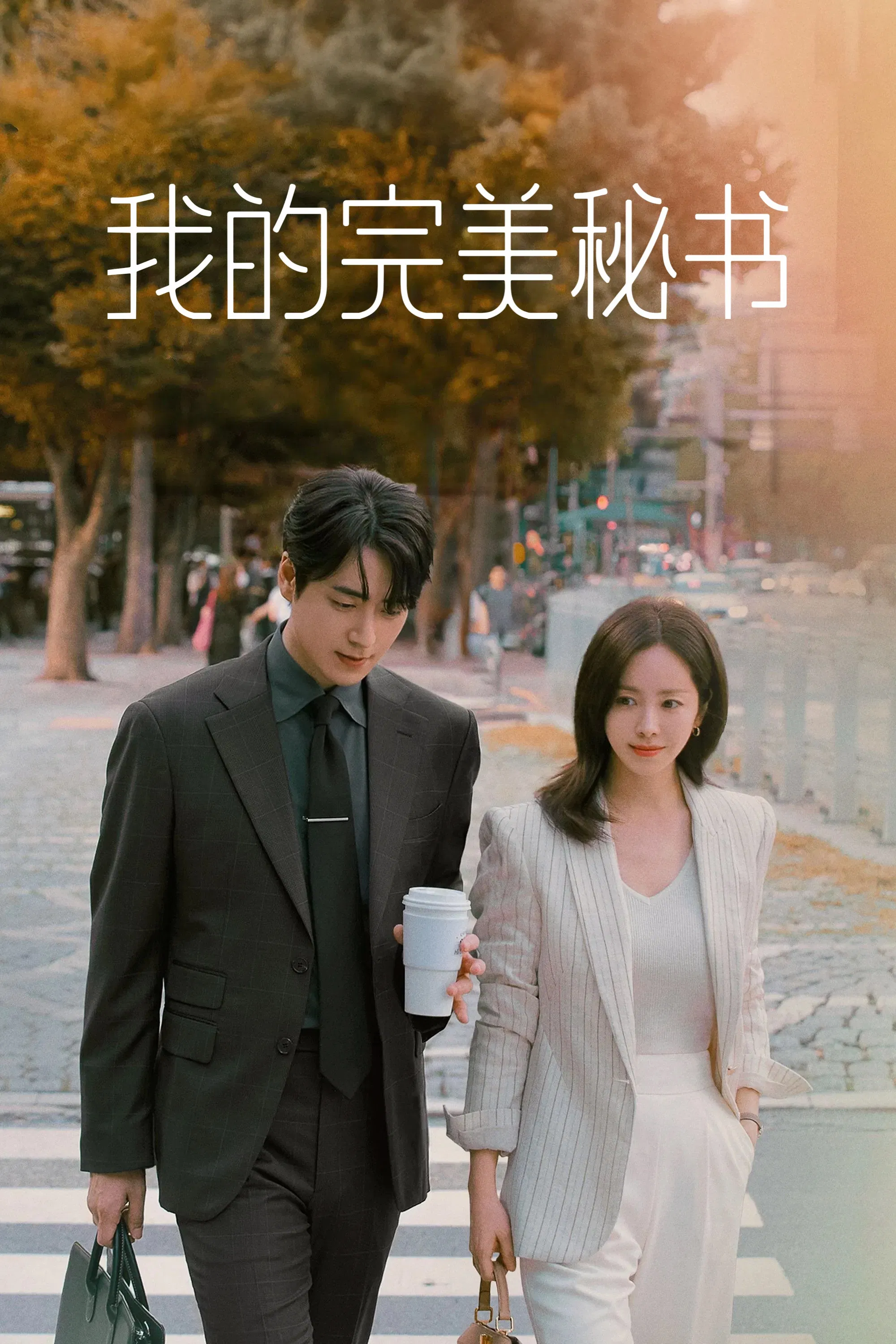 《我的完美秘书》海报
