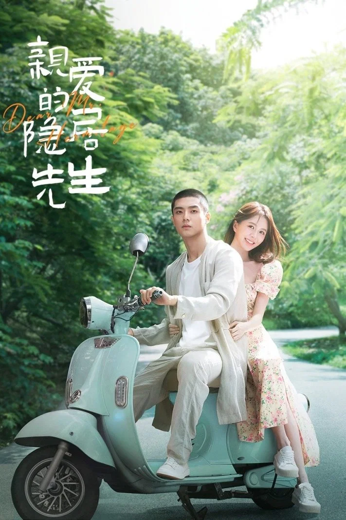 《亲爱的隐居先生》海报