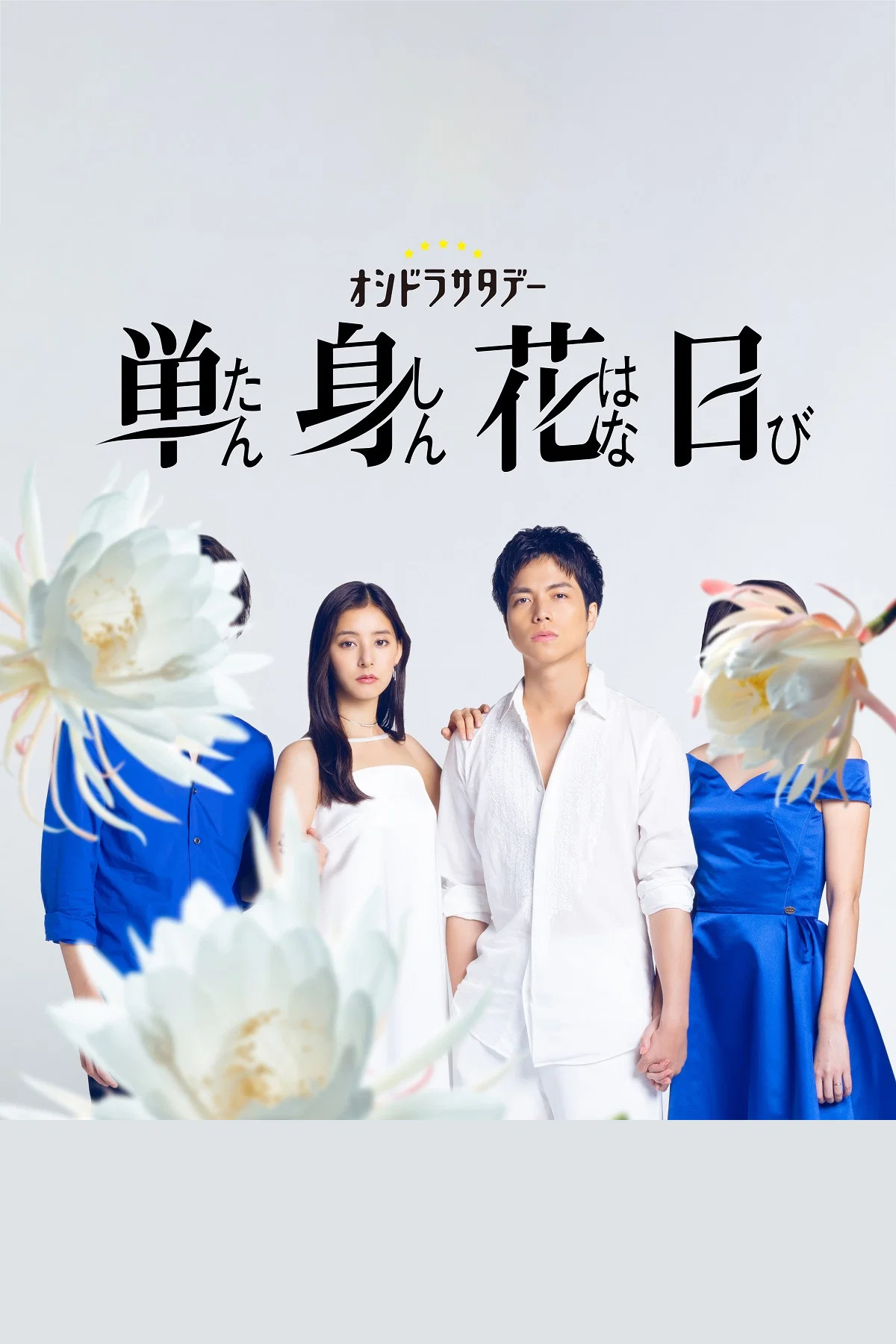 《单身初恋日记》海报