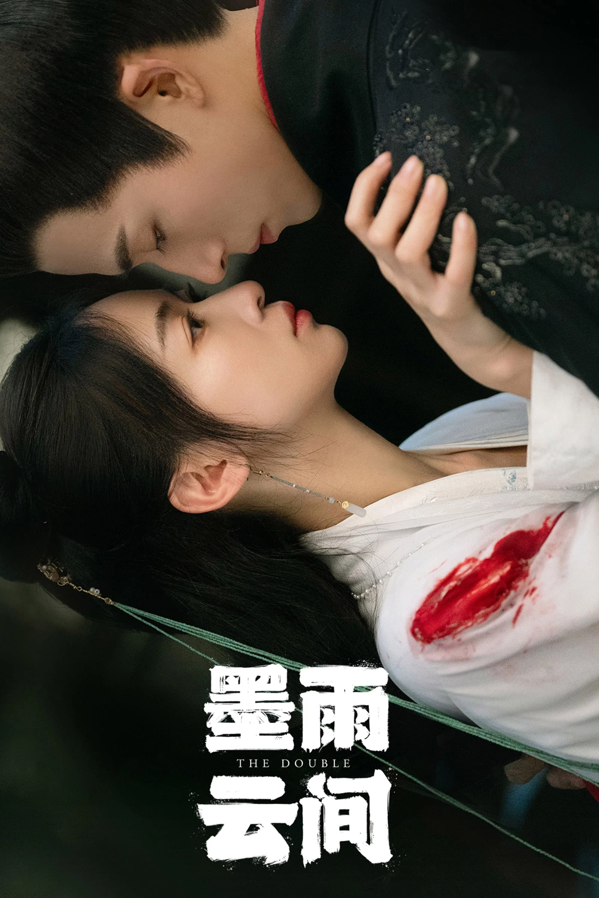 作为替身的她封面图