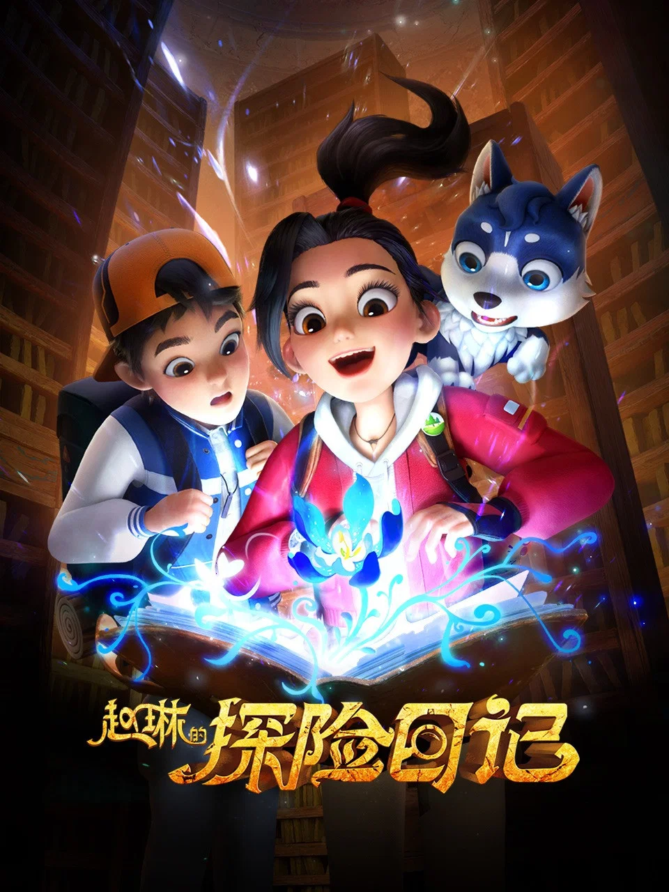 《赵琳的探险日记》海报