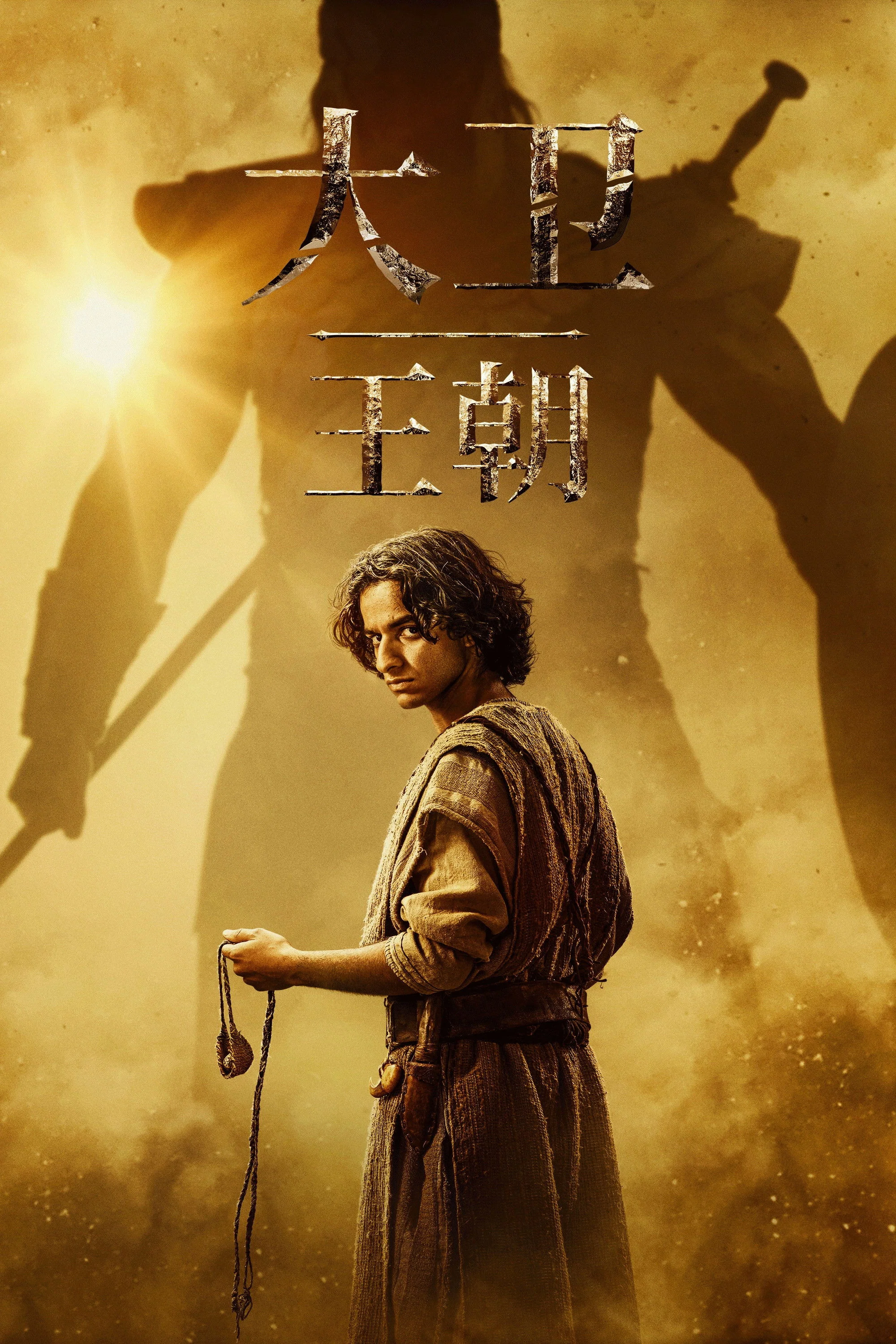 《大卫王朝》海报