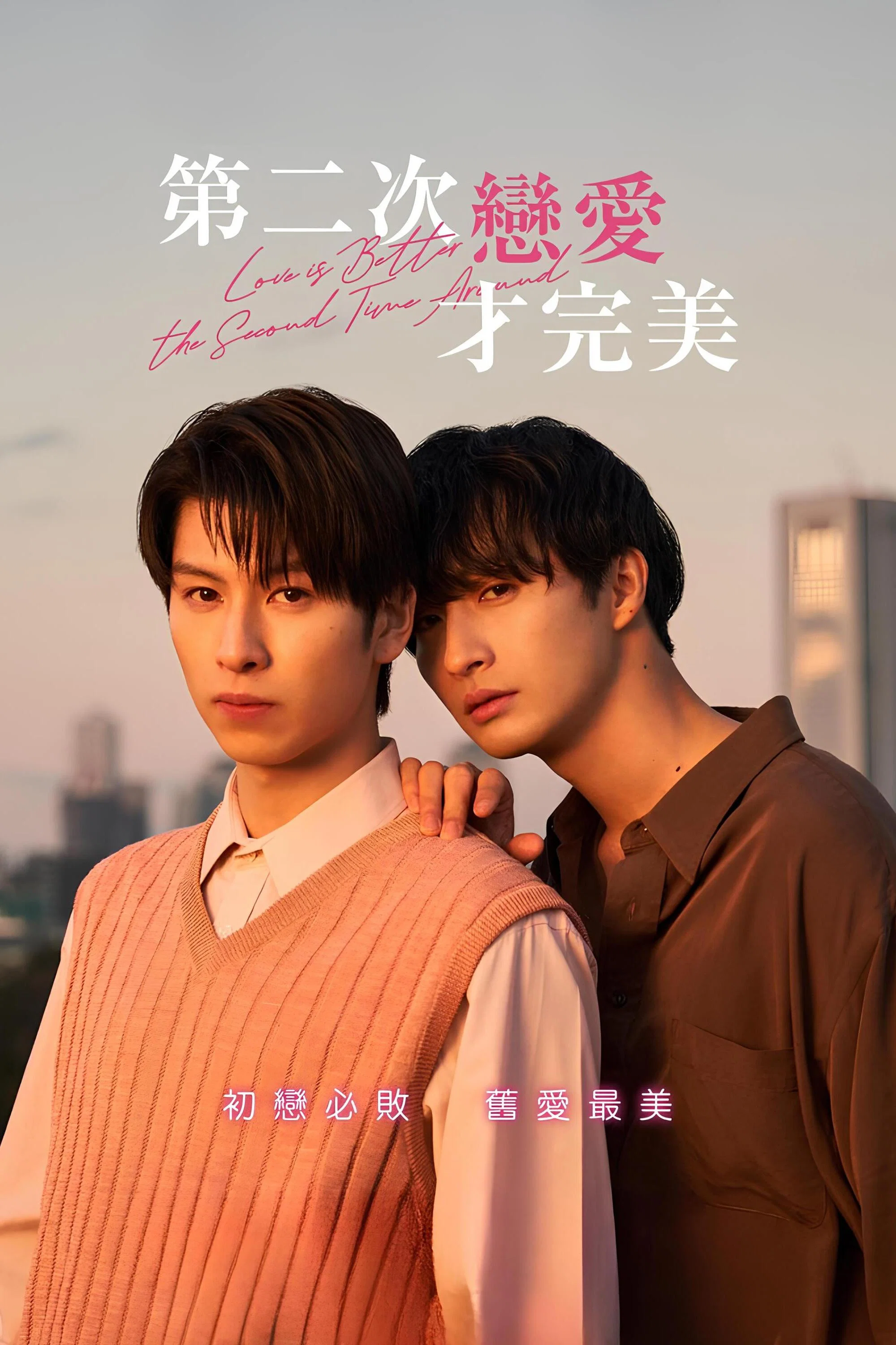 《第二次恋爱才完美》海报