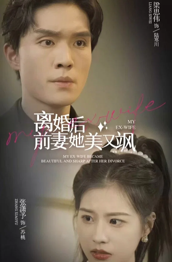 离婚后前妻她美又飒 海报