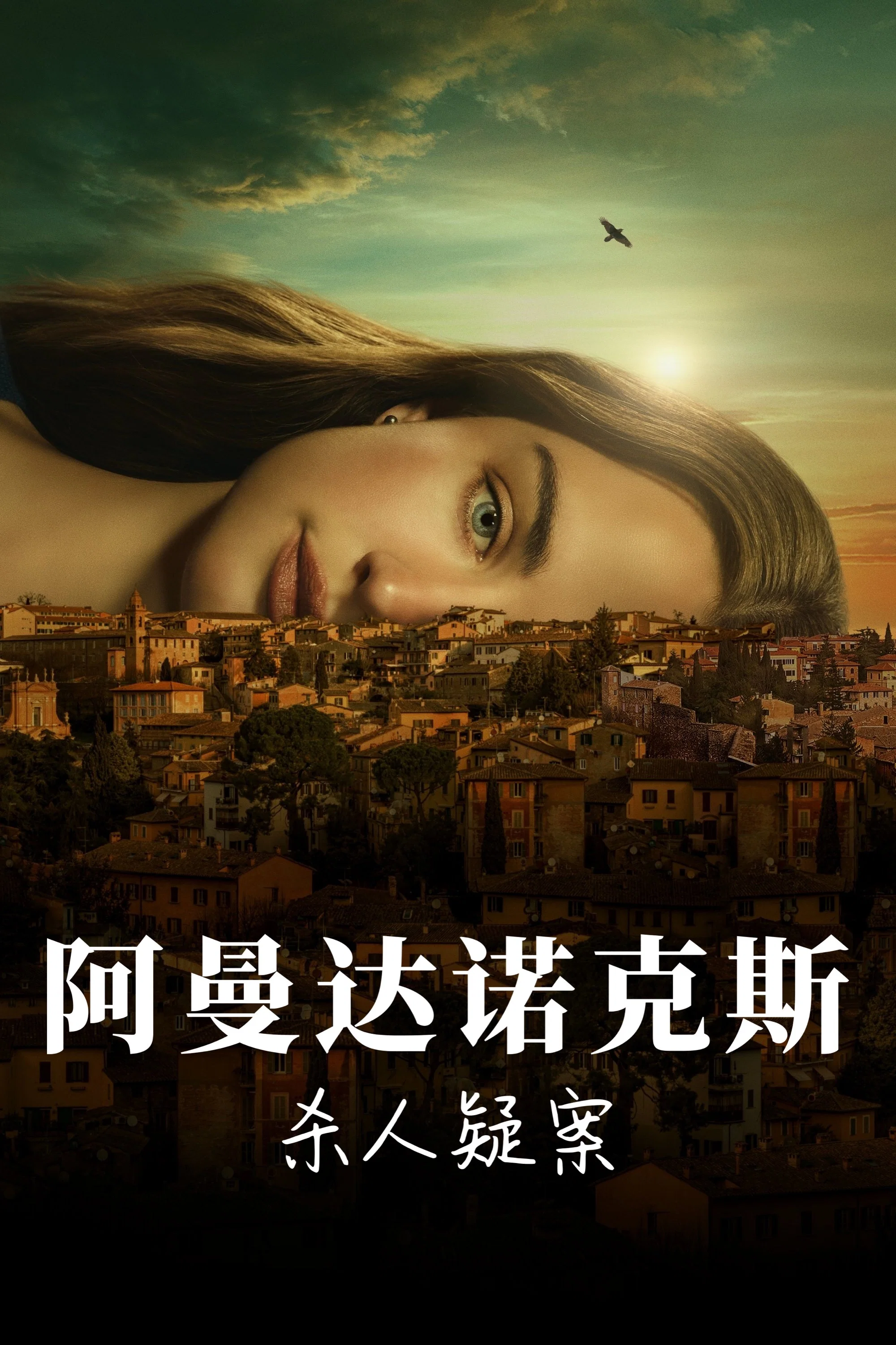 《阿曼达·诺克斯杀人疑案》海报