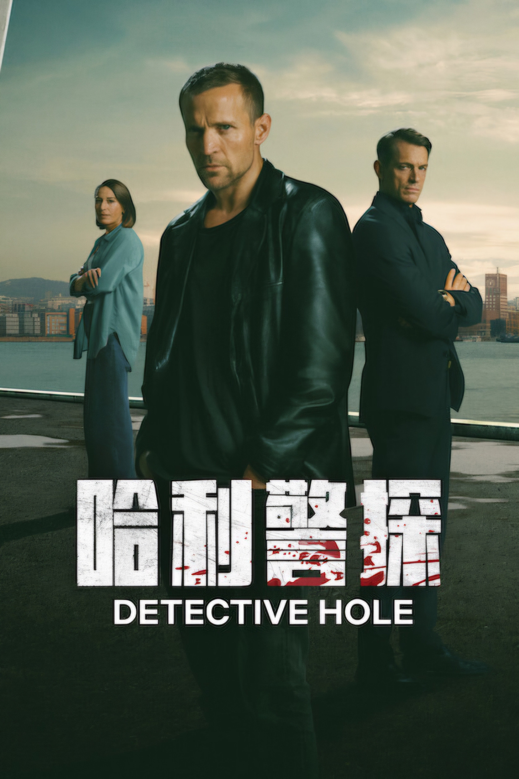 哈利警探封面图