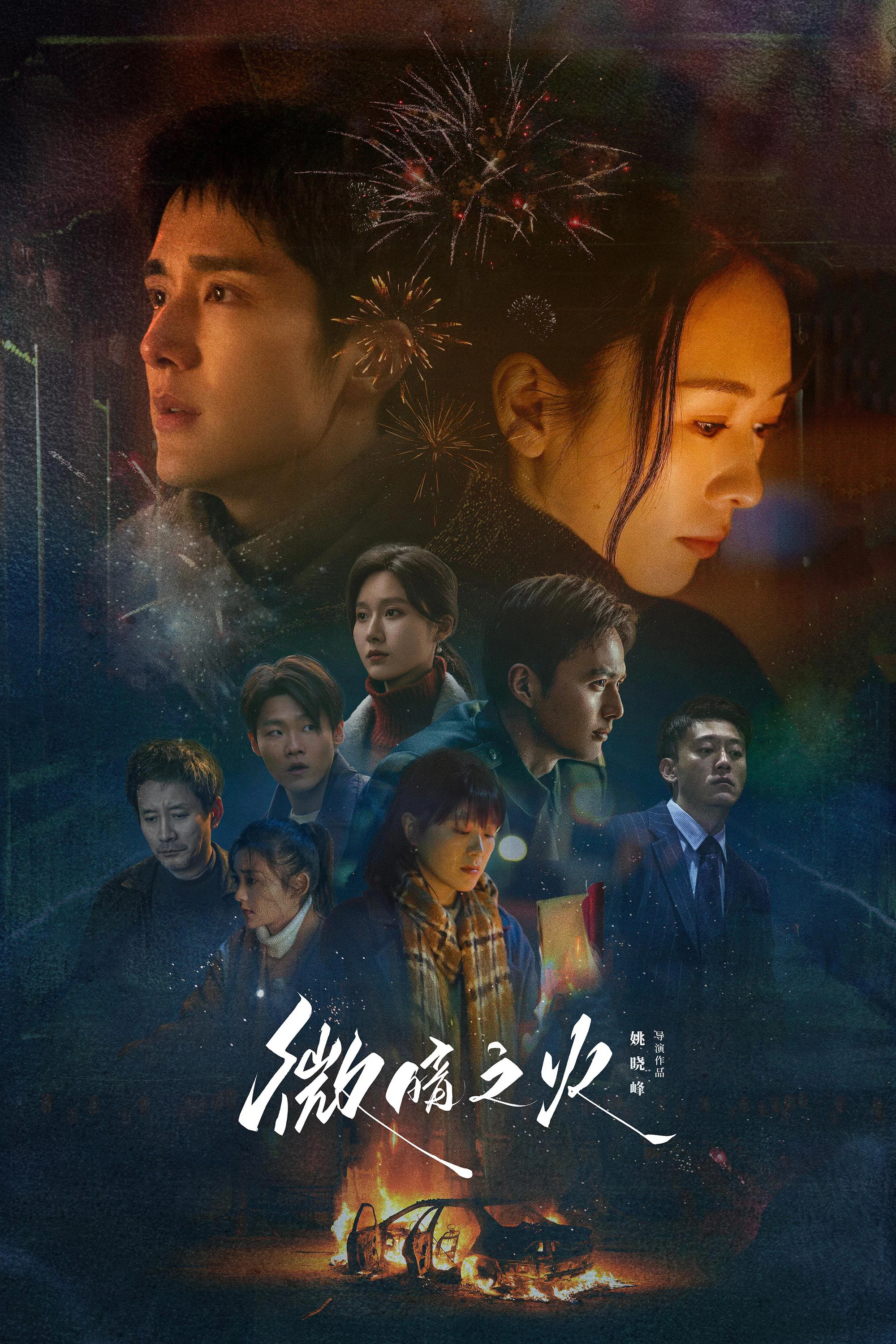 《微暗之火》海报