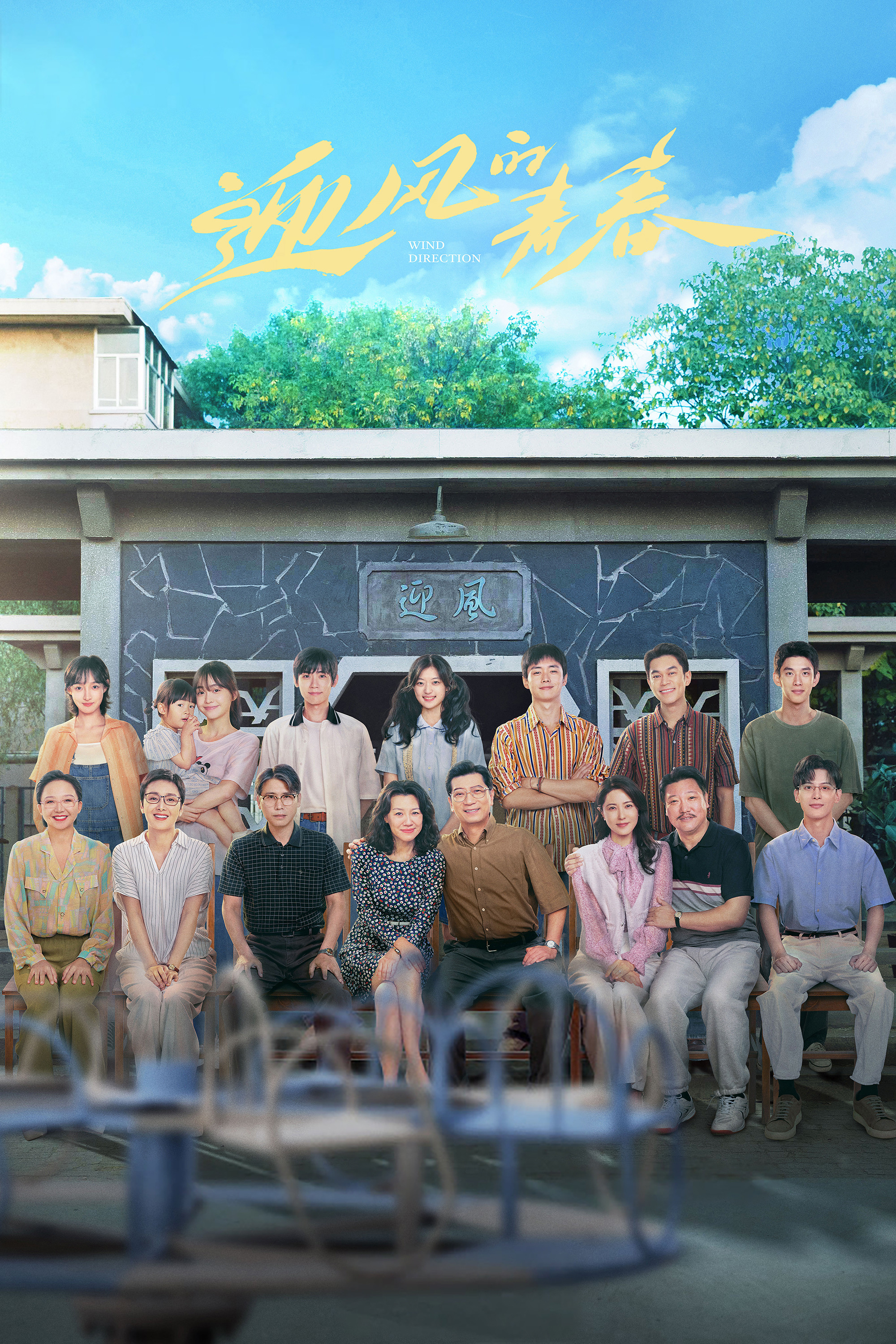 迎风的青春封面图