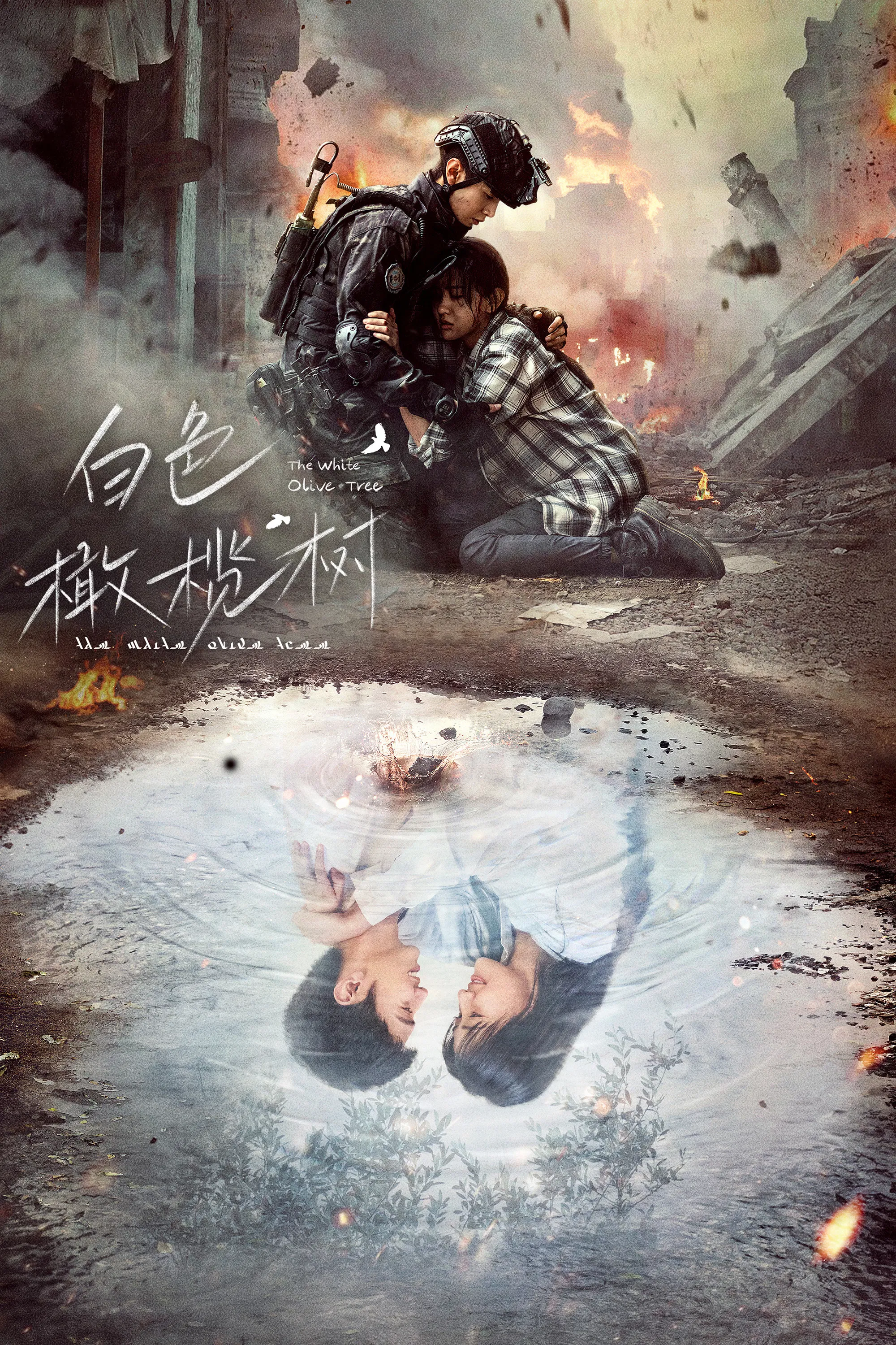 白色橄榄树封面图