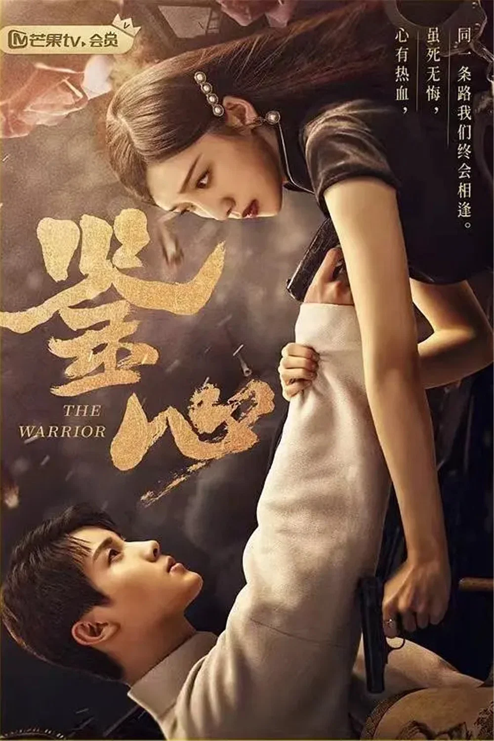 鉴心封面图