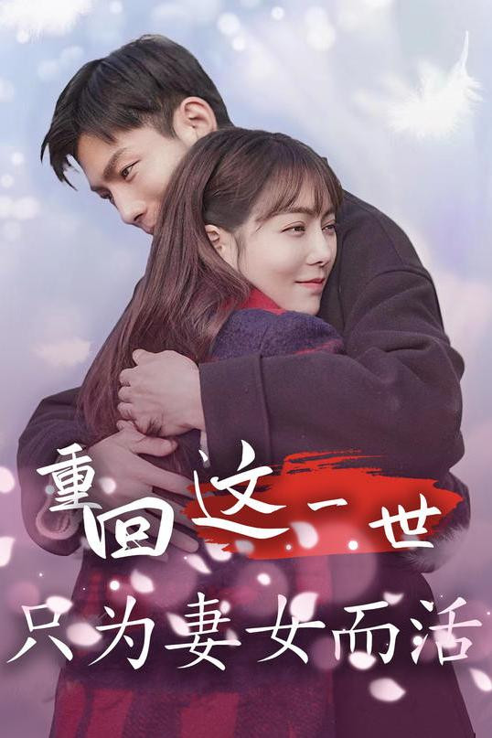 重回这一世只为妻女而活 真人剧海报