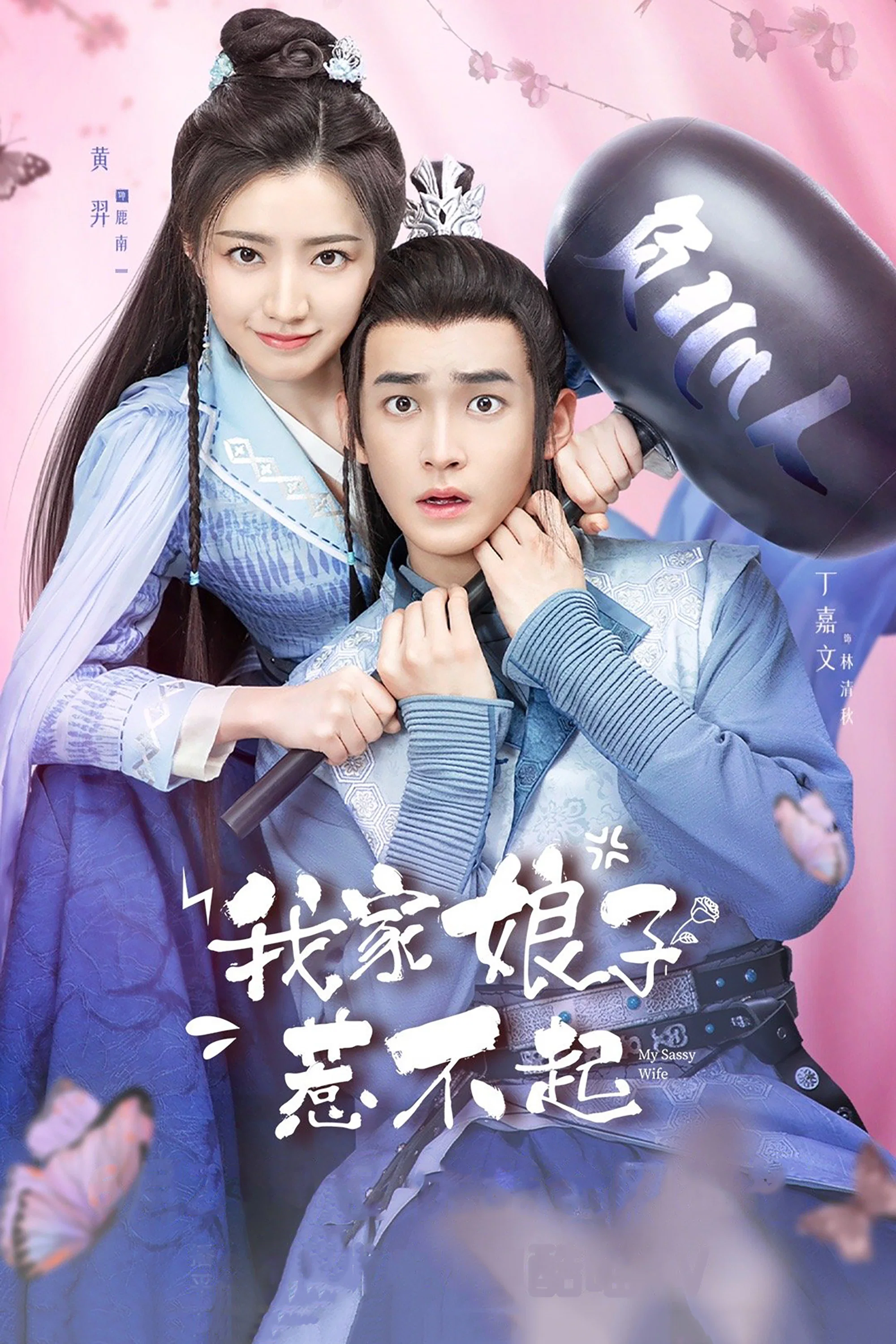 《我家娘子惹不起》海报