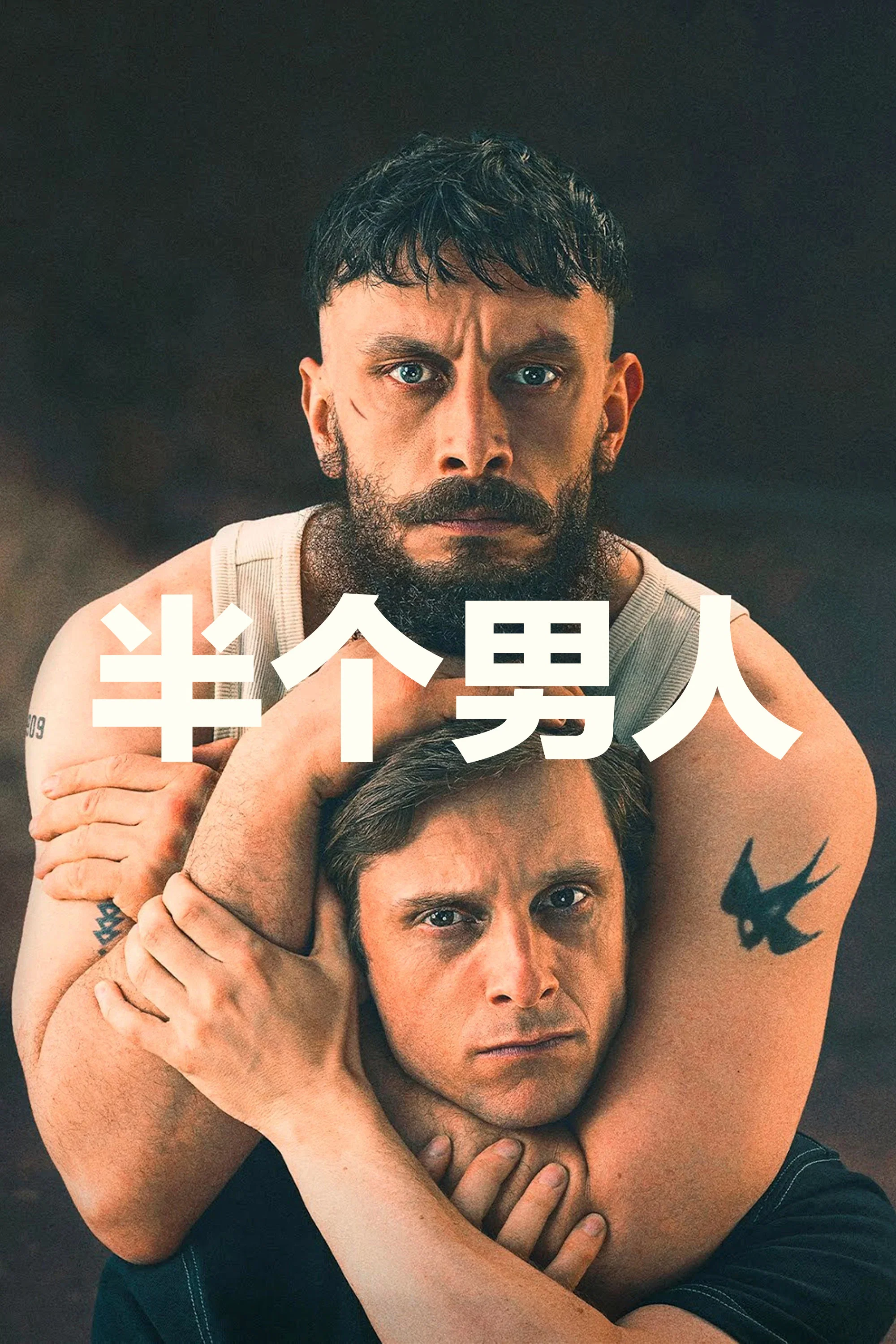 半个男人封面图