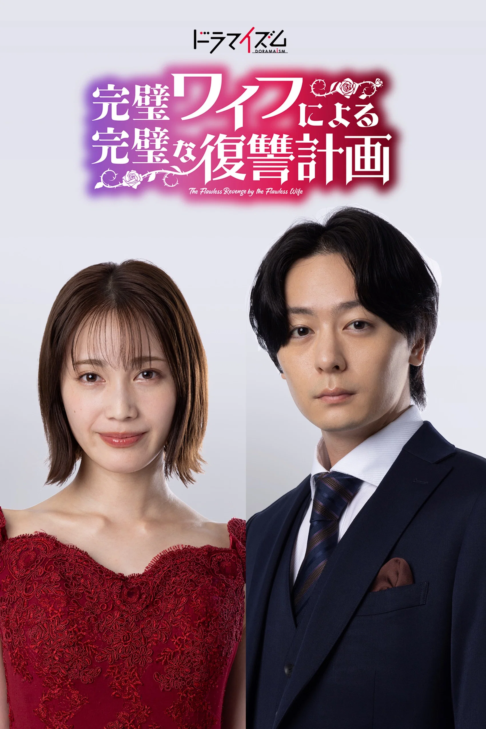 《完美妻子的完美复仇计划》海报