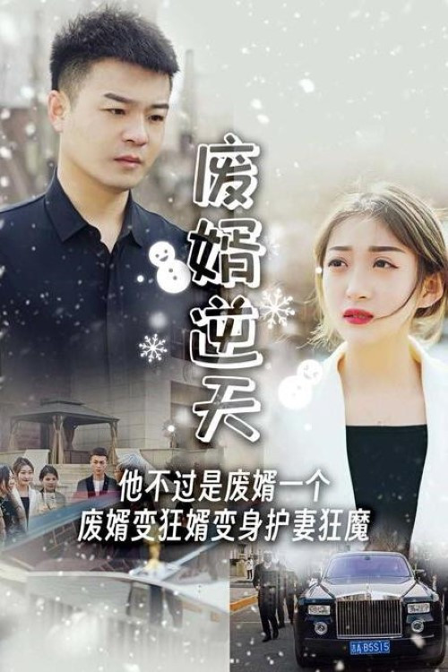 《废婿逆天》海报