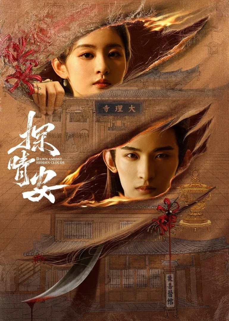 《探晴安》海报