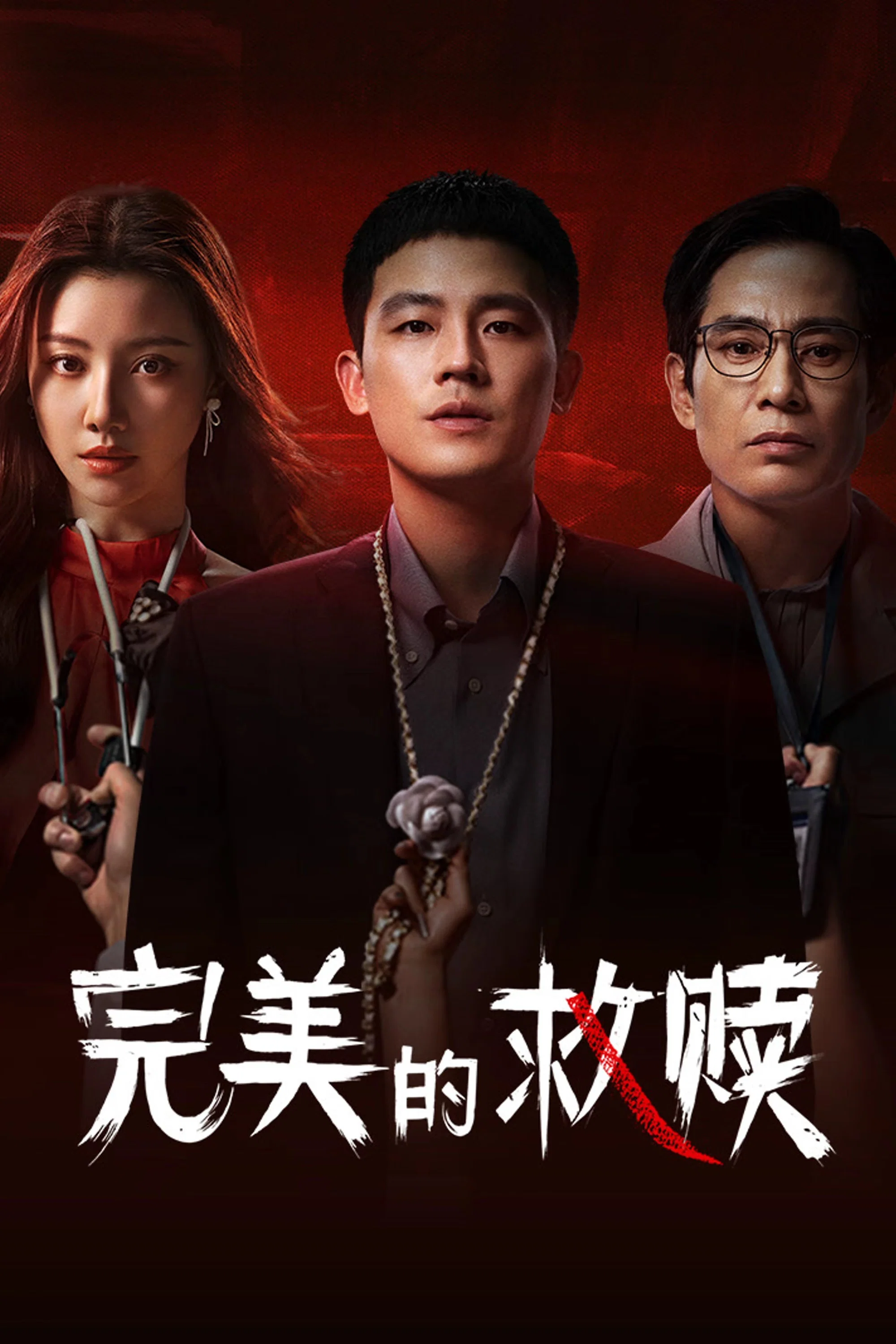 《完美的救赎》海报