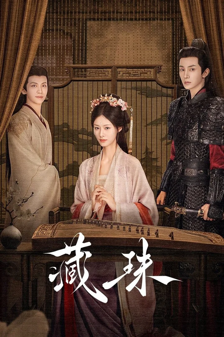 《藏珠》海报