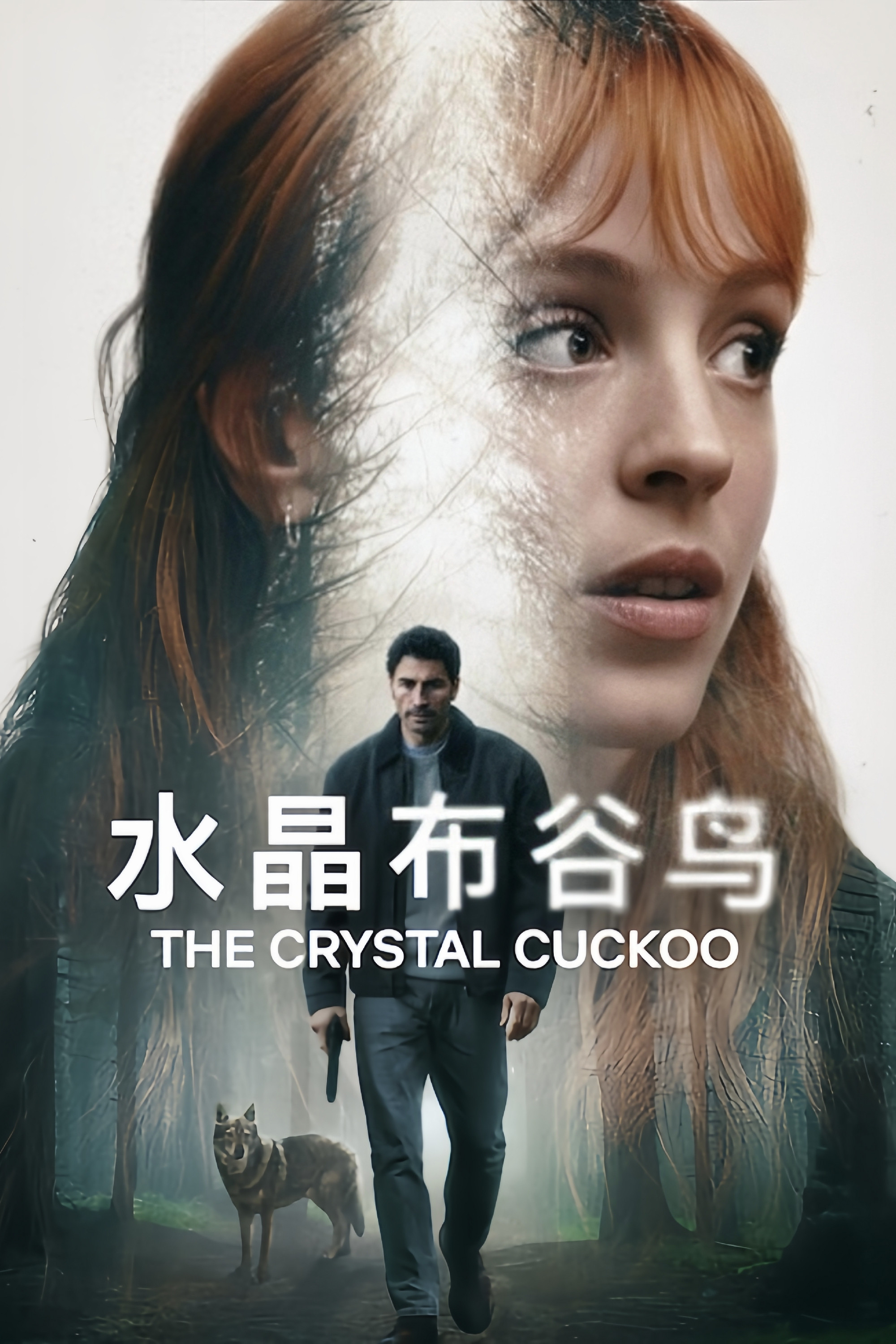 水晶布谷鸟封面图