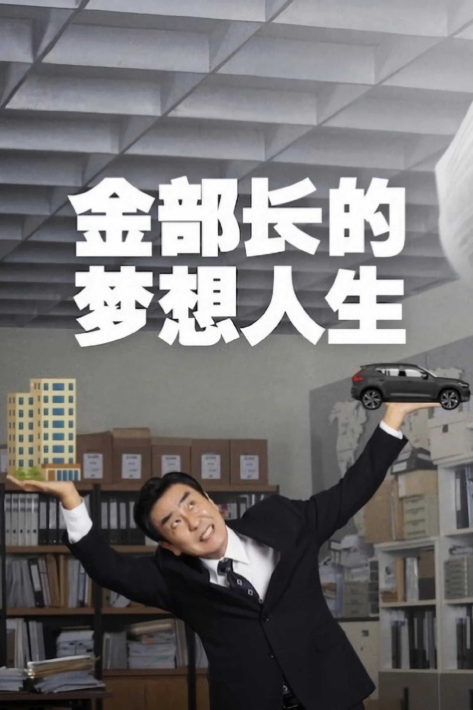 《金部长的梦想人生》海报