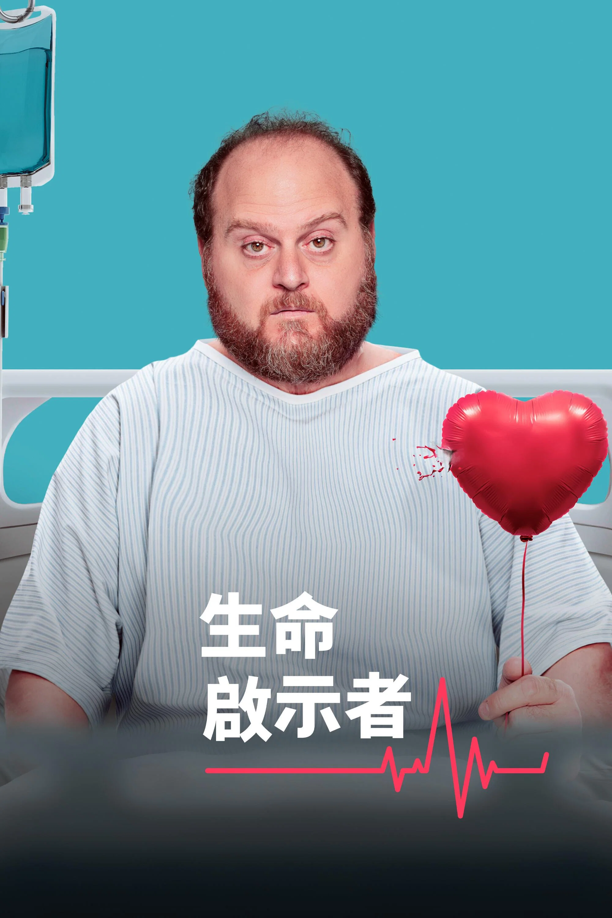 《生命启示者》海报