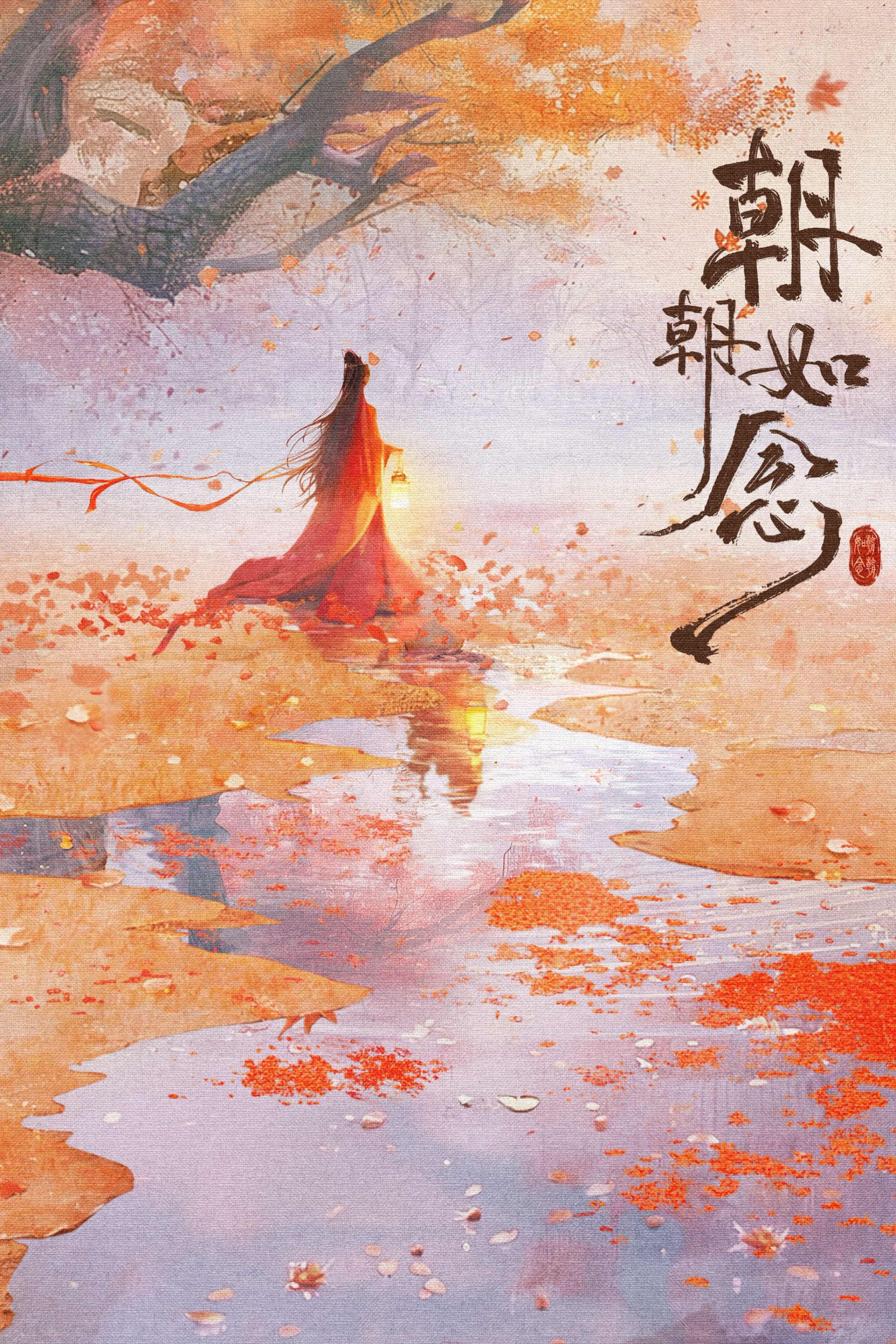 朝朝如念封面图