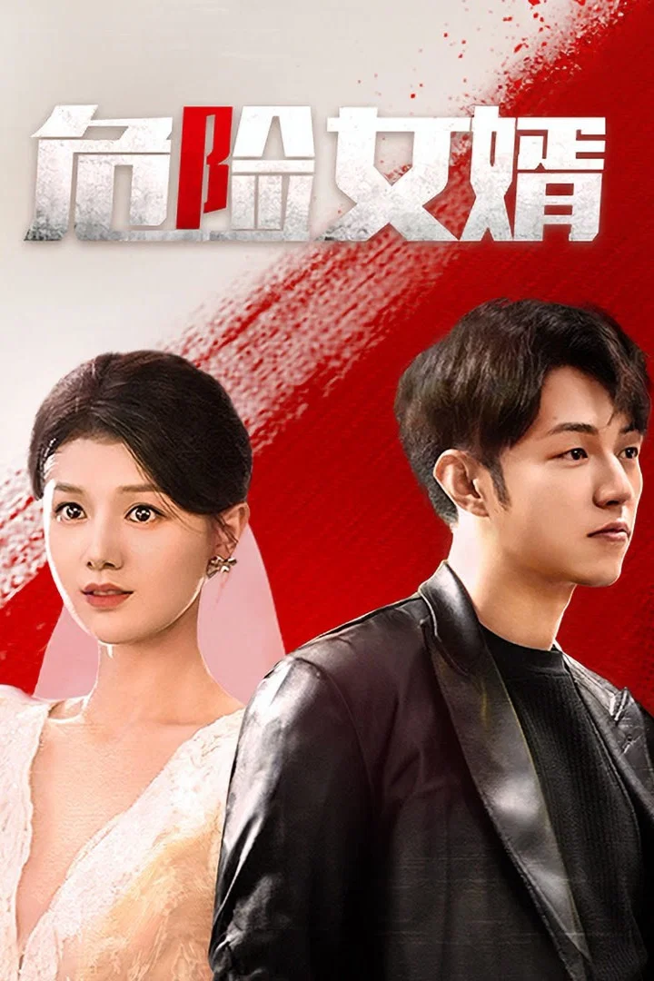 危险女婿封面图