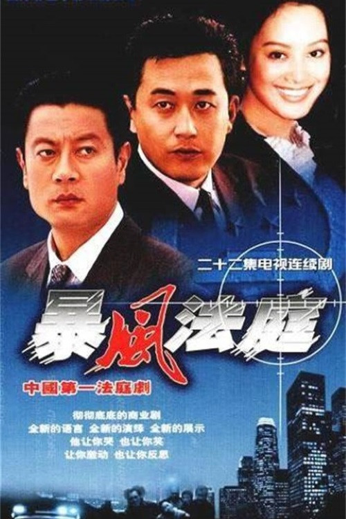 暴风法庭封面图
