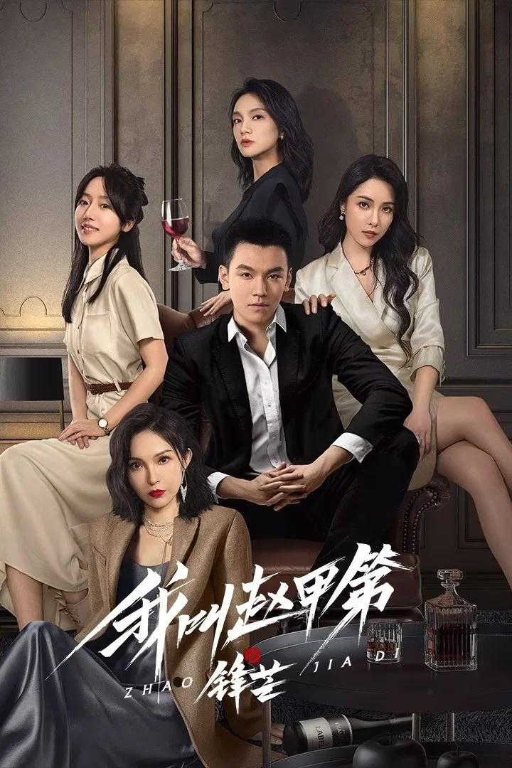 《我叫赵甲第之锋芒》海报