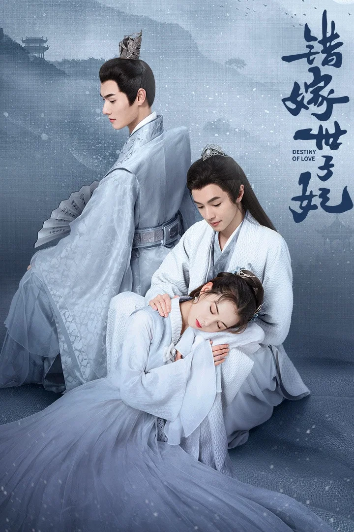《错嫁世子妃》海报