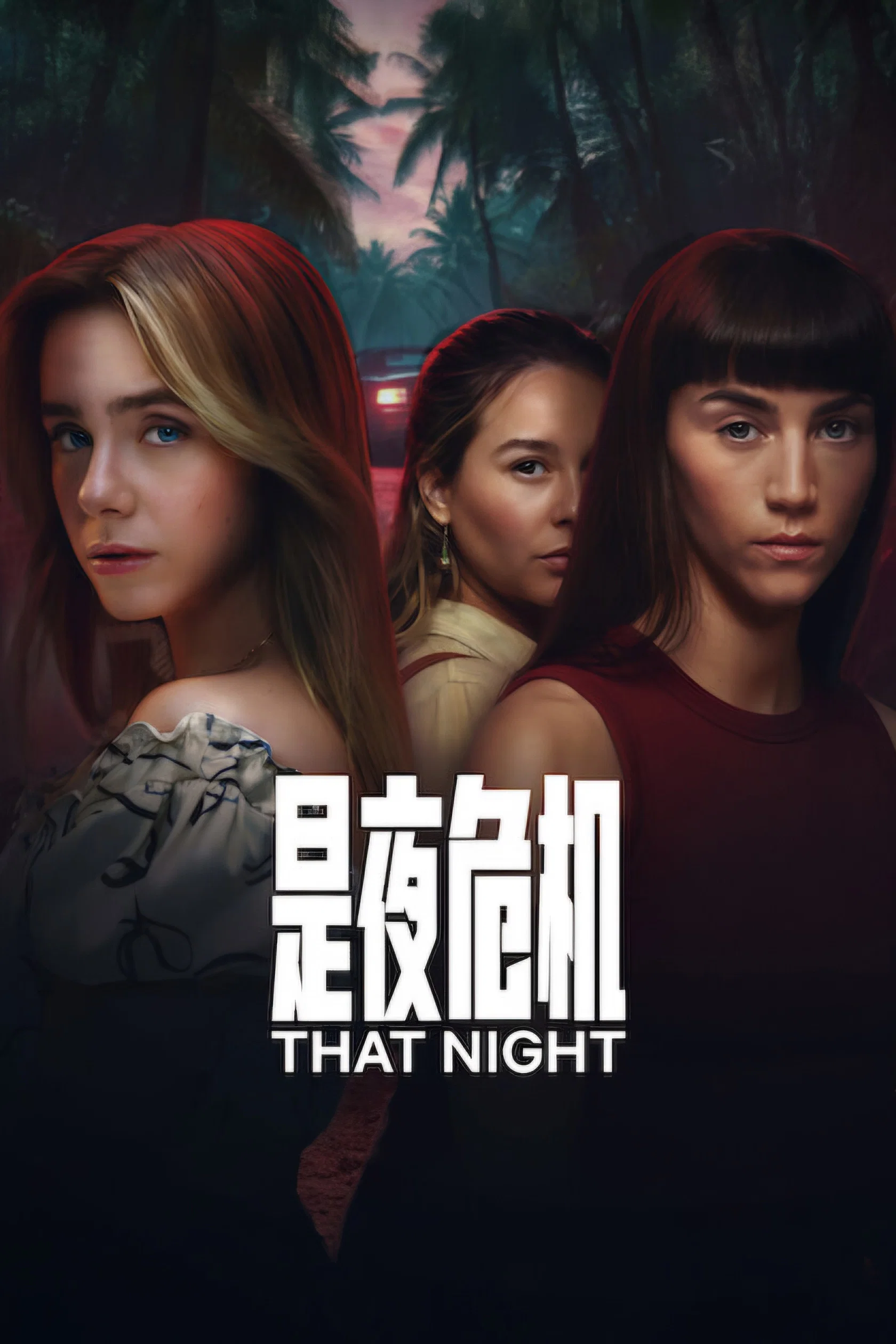 《是夜危机》海报