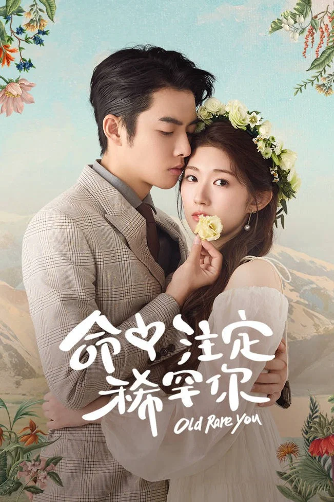 《命中注定稀罕你》海报