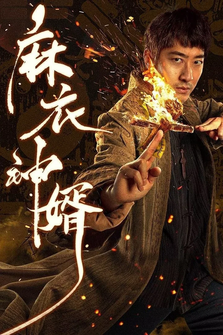 麻衣神婿封面图