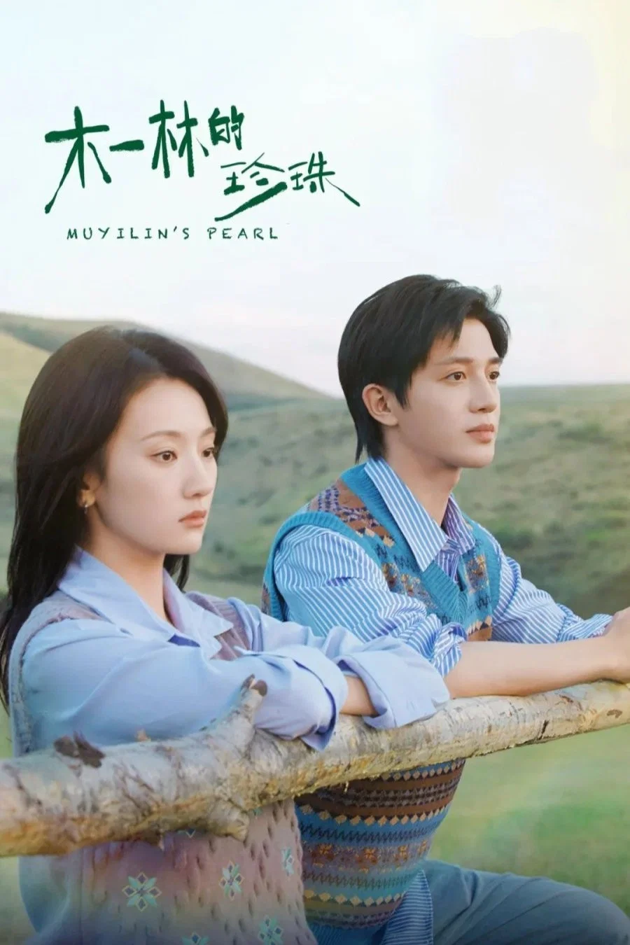 《木一林的珍珠》海报