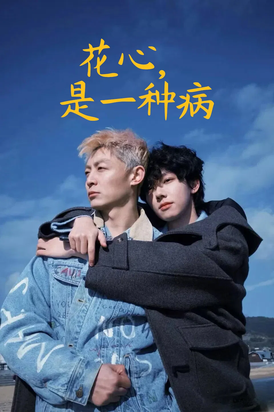 《花心，是一种病》海报