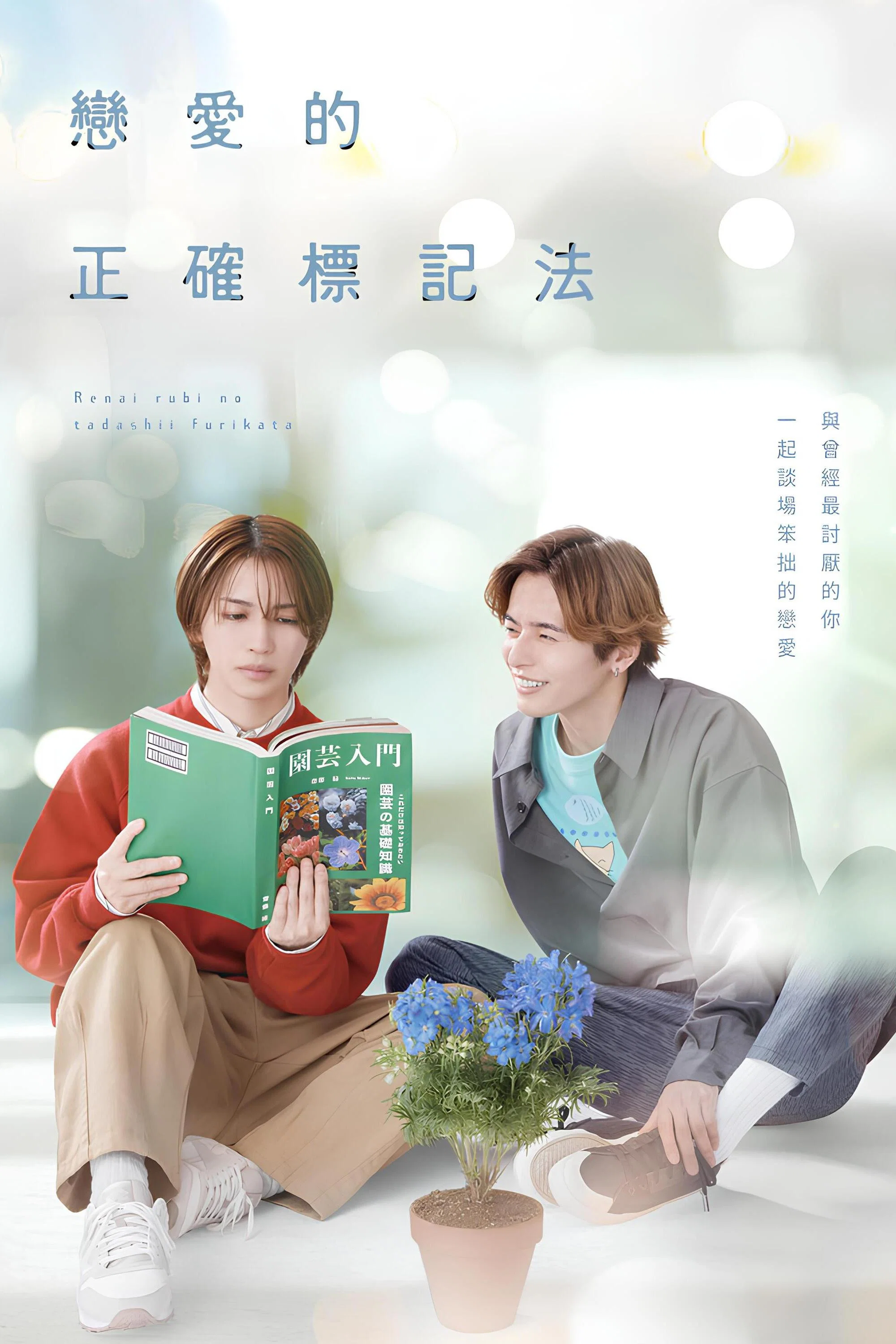 《恋爱的正确标记法》海报