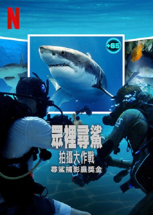 《众里寻鲨:拍摄大作战》海报