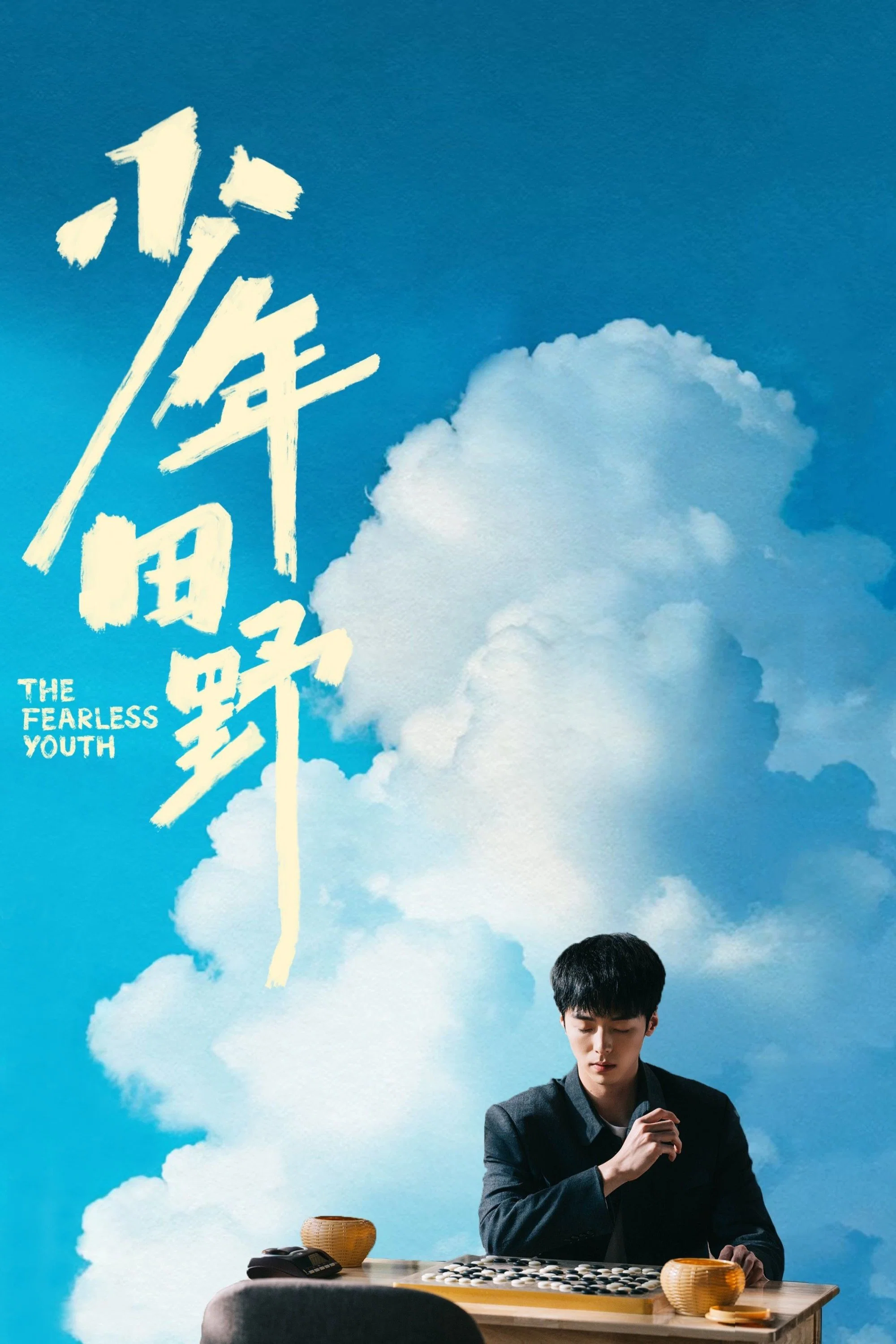 《少年田野》海报