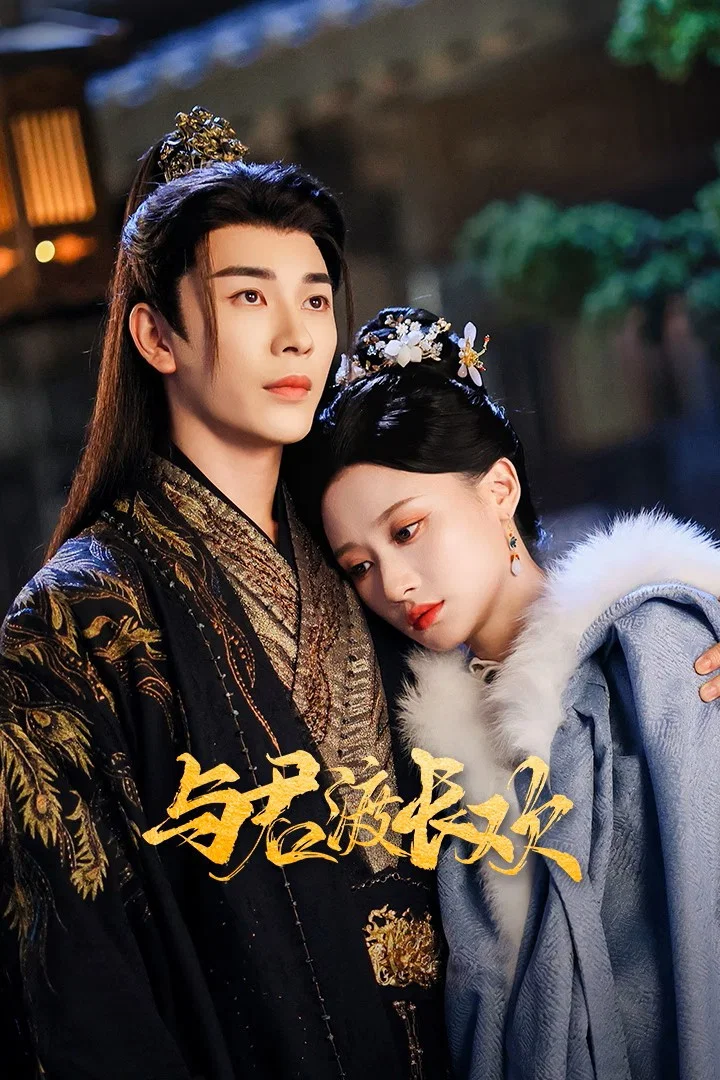 《与君渡长欢》海报