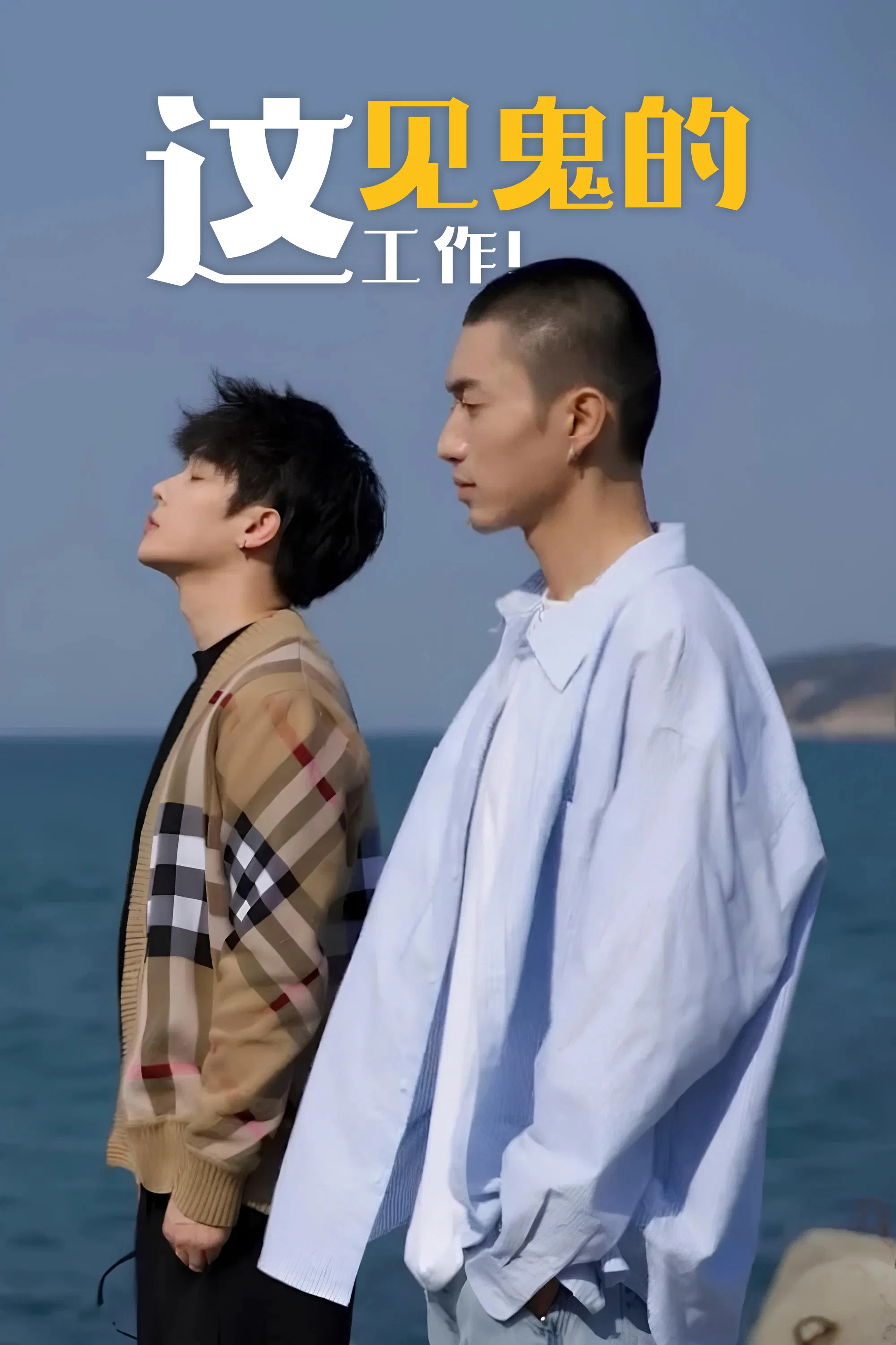 《这见鬼的工作》海报