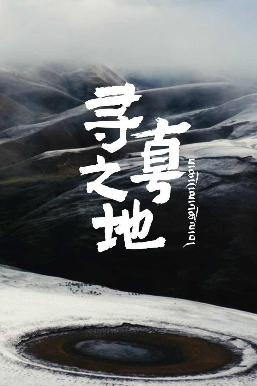 《寻真之地》海报