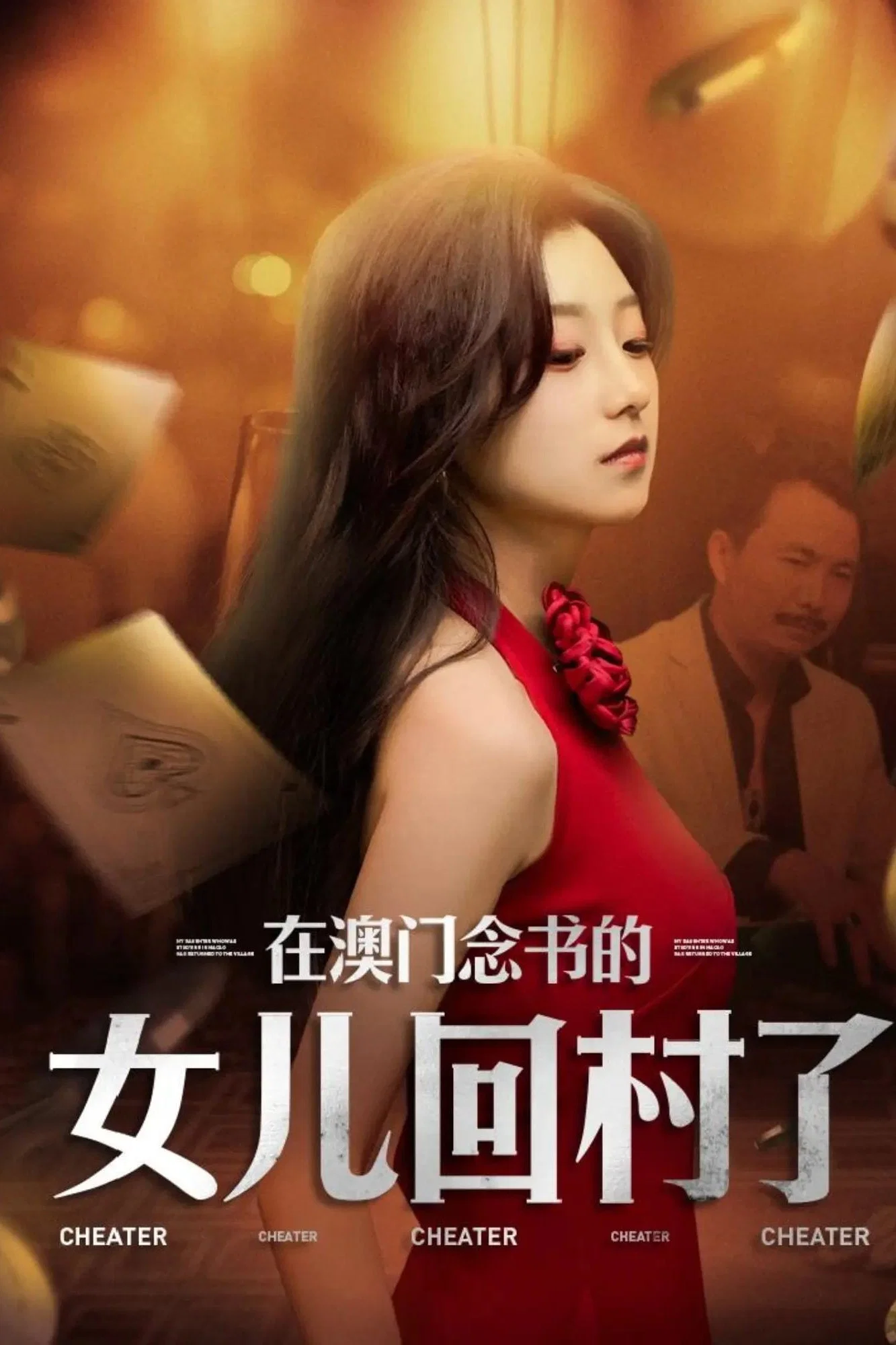 《在澳门念书的女儿回村了》海报