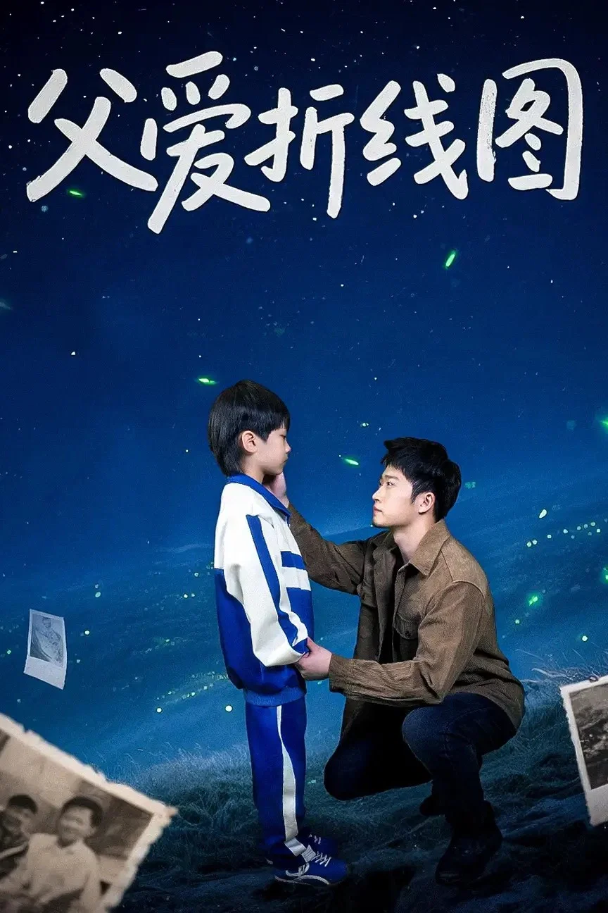 《父爱折线图》海报