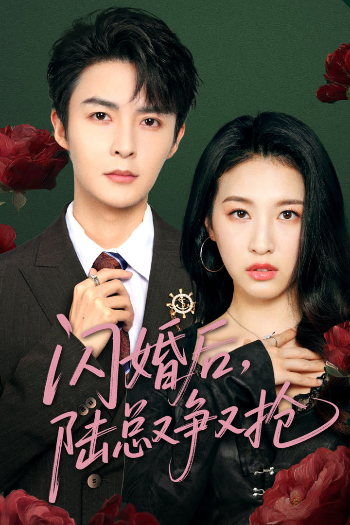 闪婚后陆总又争又抢封面图