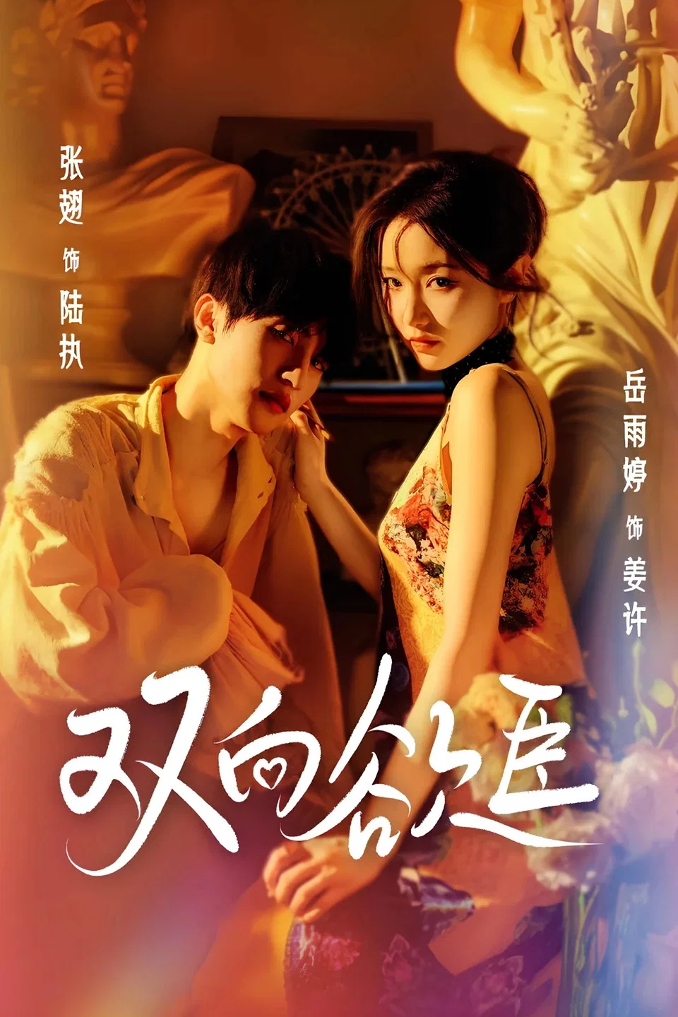 《双向欲臣》海报