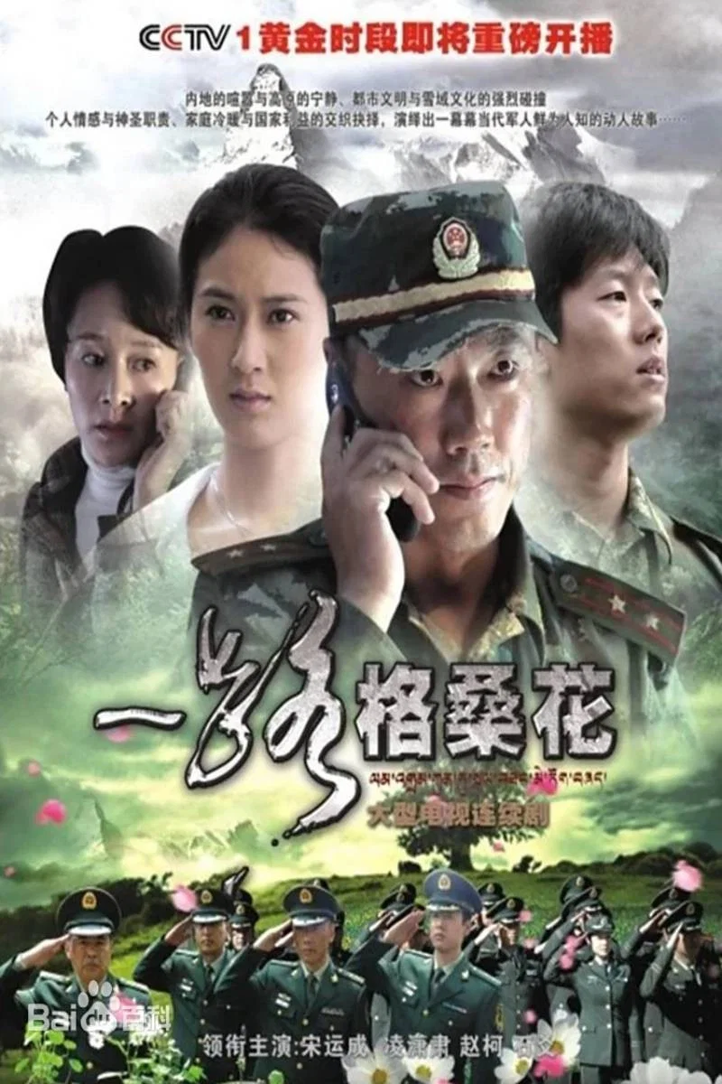 《一路格桑花》海报